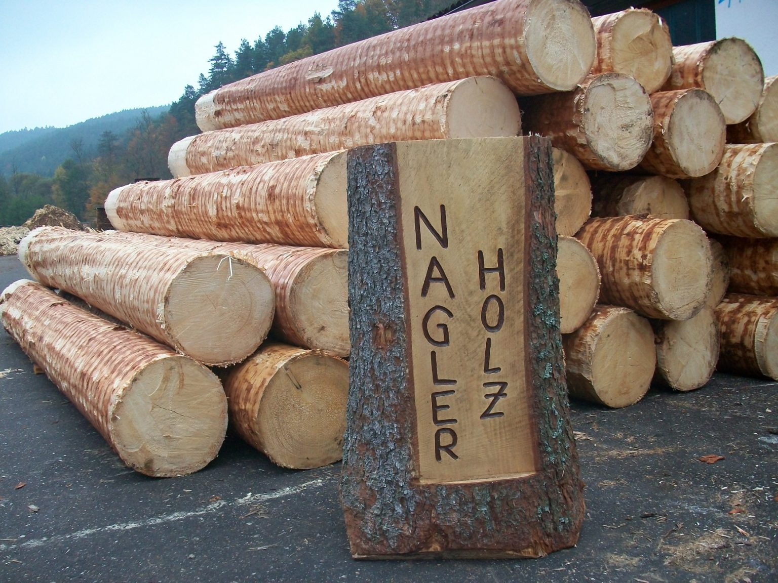 Nagler Holz